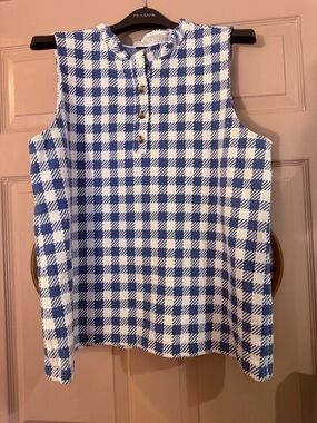Ann Taylor Blue and White Gingham Button-Front Top